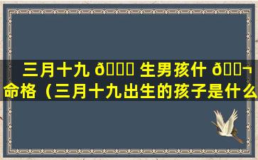 三月十九 🐞 生男孩什 🐬 么命格（三月十九出生的孩子是什么星座）